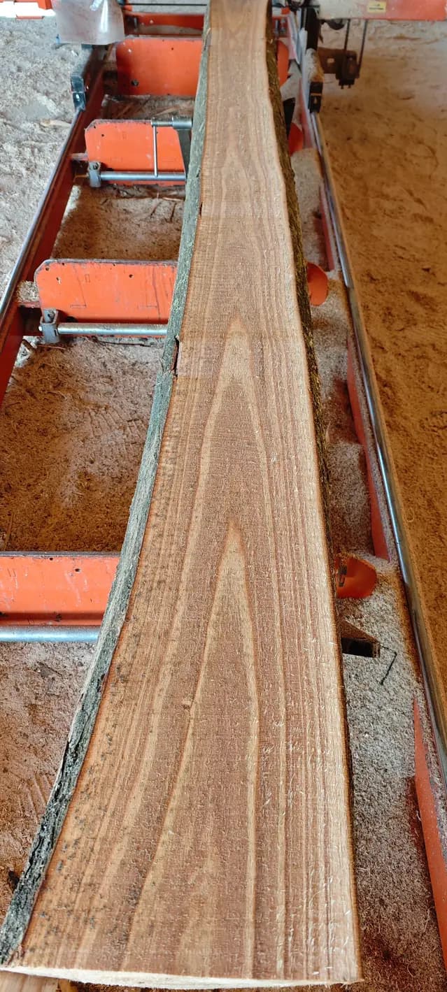 Proces de debitare pentru lemn de Paulownia