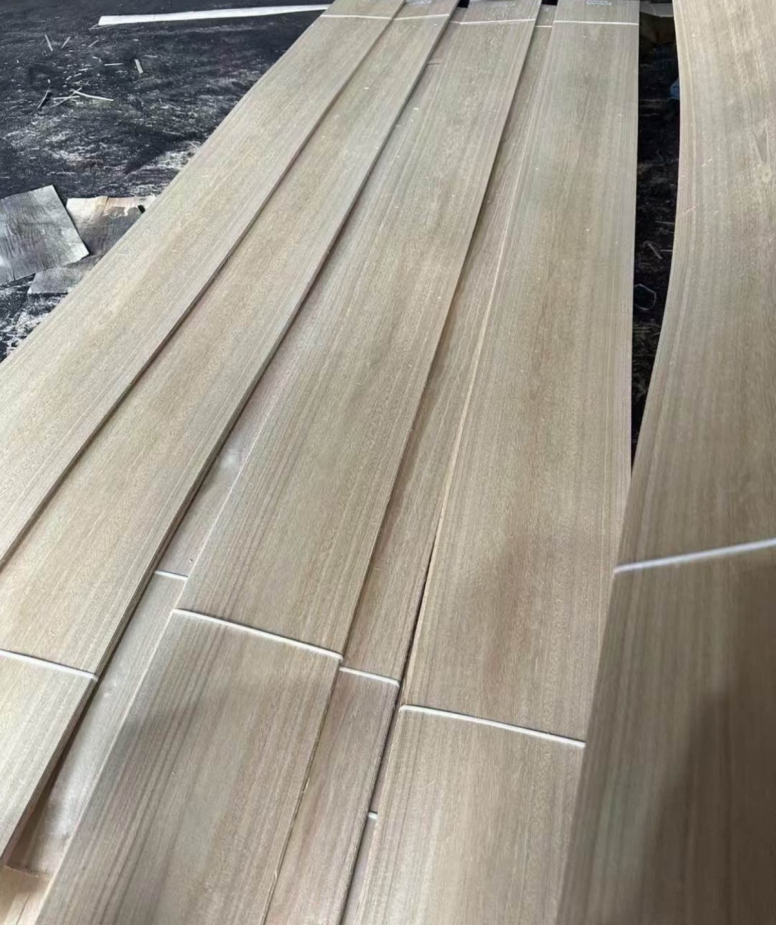 Furnir tehnic sau estetic din lemn de Paulownia