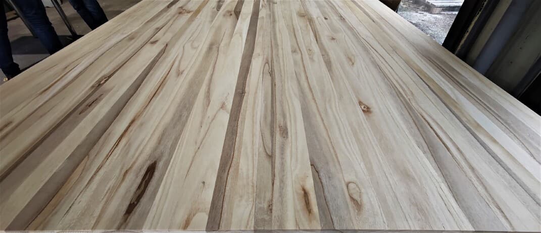 Set 1 HA Plantatie 700 pomi